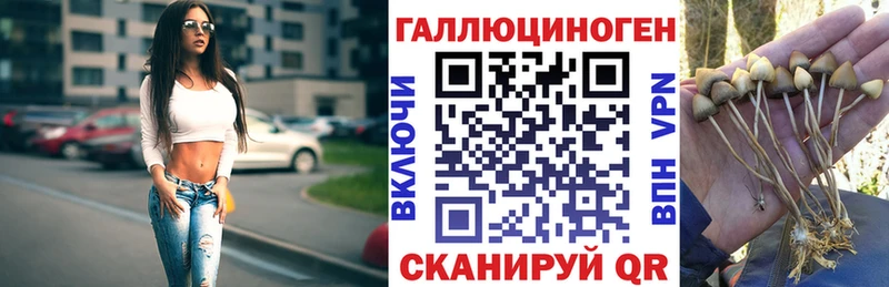 Купить закладки  Санкт-Петербург  Галлюциногенные грибы Psilocybine cubensis 